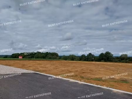 vente terrain saint allouestre 56500 3344m²