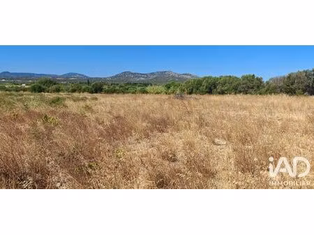 terrain agricole à la palme (11480)