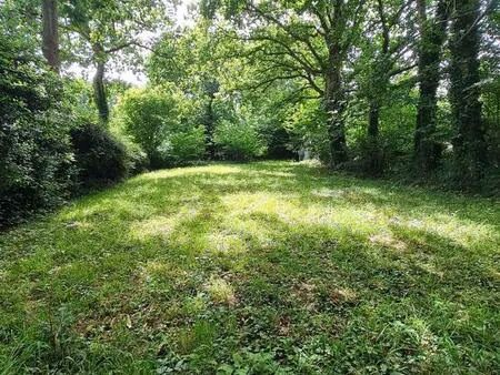 vente terrain 564 m² moëlan-sur-mer (29350)