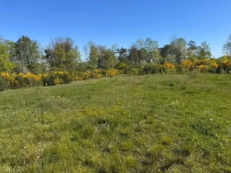 terrain agricole à vendre à grand houmart tohogne (vbe51844)