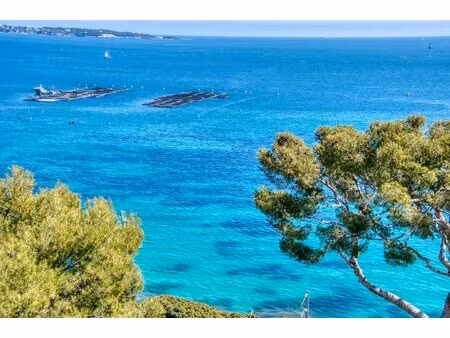 appartement raffiné dans le quartier prisé de la basse californie à cannes