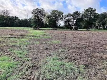 vente terrain à andouillé-neuville (35250) : à vendre / andouillé-neuville
