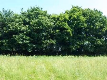 vente terrain à fréhel (22240) : à vendre / fréhel