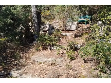 annonce terrain à vendre
