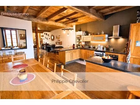 immeuble de caractère avec appartement familial  local commercial indépendant et studio