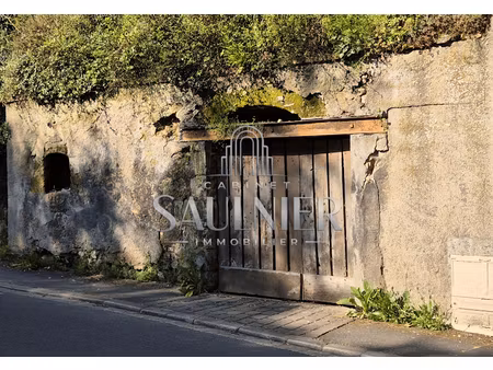 vente locaux professionnels 0 pièces à amboise (37400)  9 500 €