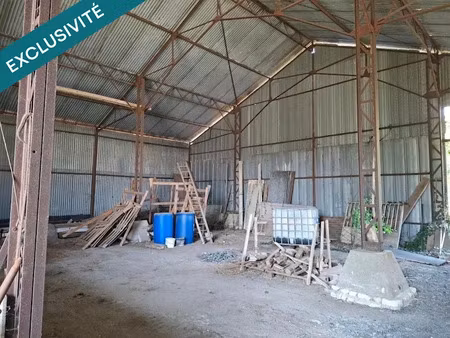 vente locaux professionnels 1 pièce 225 m² à santeau (45170)  35 000 €