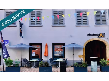 vente locaux professionnels 3 pièces 61 m² à neuf-brisach (68600)  91 666 €