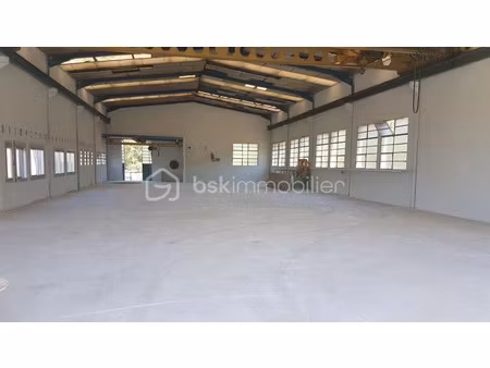 vente locaux professionnels 3 pièces 900 m² à mazamet (81200)  200 000 €