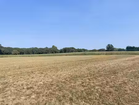 vente terrain mimbaste 40350 - - surface privée