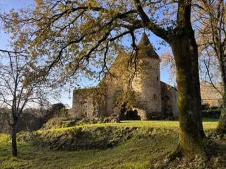 vente maison à quistinic (56310) : à vendre / 255m² quistinic
