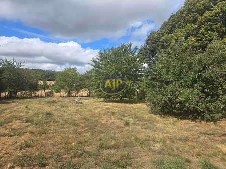 vente terrain 920 m² guémené-penfao (44290)
