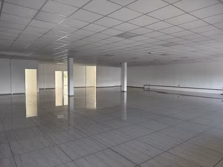 location locaux professionnels 4 pièces 380 m² à baie mahault (97122)  6 840 €