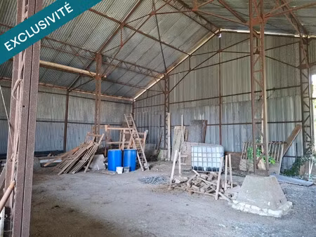 vente commerce 1 pièce 225 m² santeau (45170)