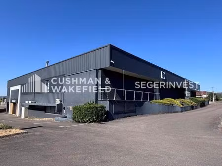 vente commerce perrigny les dijon 21160 2000m²