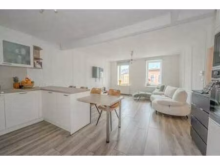surface commercial + appartement 2 chambres avec exterieur