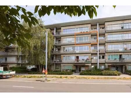 appartement 3 chambres  peb c