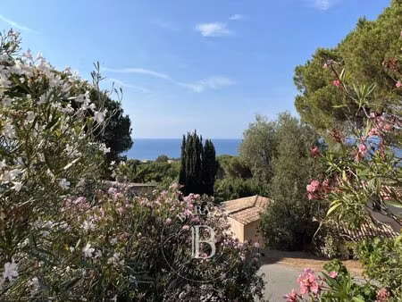 exclusivité  marine de davia  corbara  villa 6 chambres  vue mer  plage à pieds