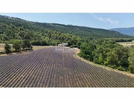 vente maison 14 pièces 300 m² à céreste (04280)  1 590 000 €