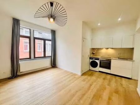 magnifique appartement 1 chambre rénové avec goût ?