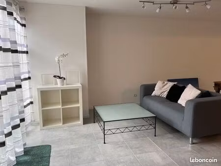 appartement t2 meublé -saint georges d'orques- 57 m2