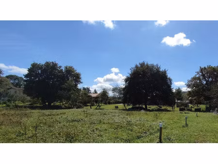 vente terrain 2706 m² à saint-cricq-du-gave (40300)  49 000 €