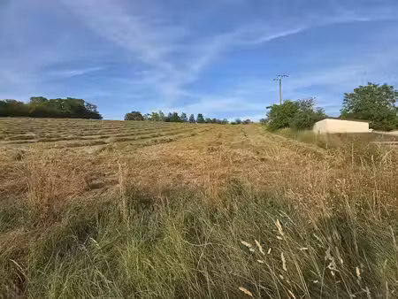 vente terrain à sergines (89140)  79 000 €