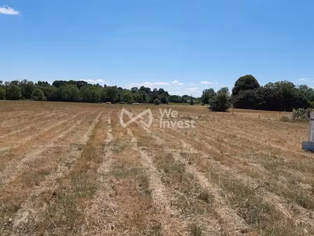 vente terrain à batir 1200 m² à berson (33390)  50 000 €