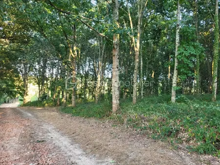 vente terrain 105424 m² à aire-sur-l'adour (40800)  55 000 €