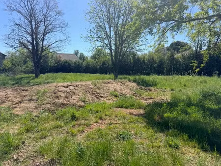 vente terrain 604 m² à albi (81000)  75 000 €