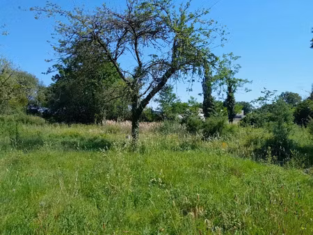 vente terrain 490 m² à paimboeuf (44560)  78 000 €