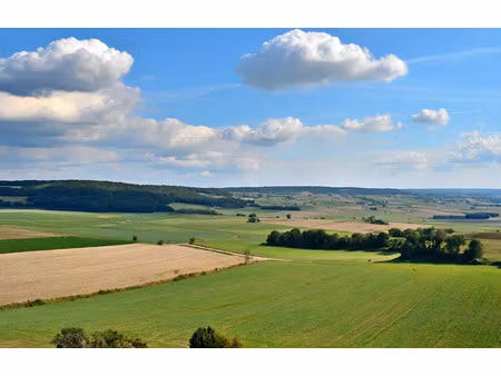 vente terrain 950 m² à provins (77160)  89 000 €