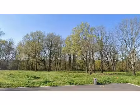 vente terrain 855 m² à puydaniel (31190)  85 500 €