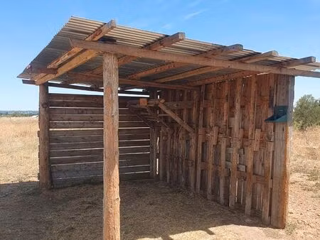 terrain chevaux
