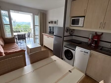 studio cabine avec terrasse et parking