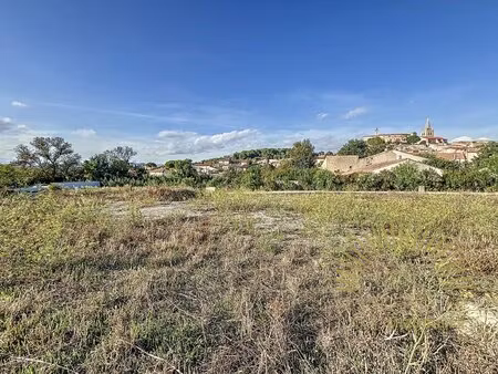 terrain