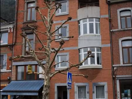 appartement 2 ch. esneux - proche toutes commodités