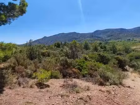 vente terrain à embres-et-castelmaure (11360) : à vendre / 9404m² embres-et-castelmaure