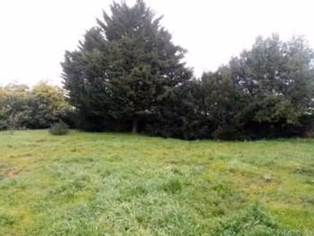 vente terrain à montjean-sur-loire (49570) : à vendre / montjean-sur-loire