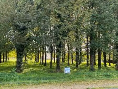 vente terrain à vernoil-le-fourrier (49390) : à vendre / 915m² vernoil-le-fourrier
