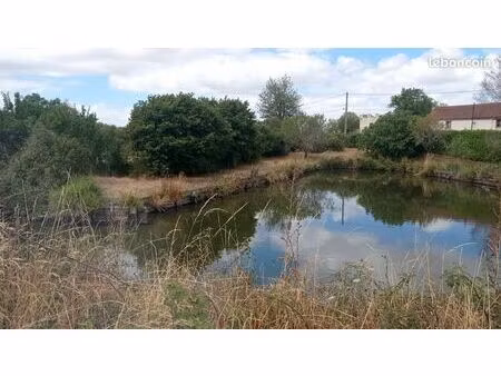 étang avec eau et électricité