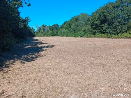 terrain agricole 7000m2 - mousterlin