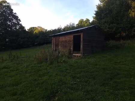 location terrain pour chevaux ou autre