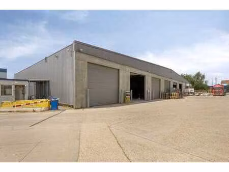 site logistique multifonctionnel à louer à houthalen