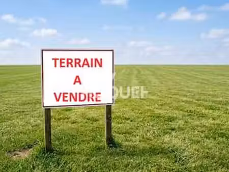 vente terrain à lanrelas (22250) : à vendre / 564m² lanrelas