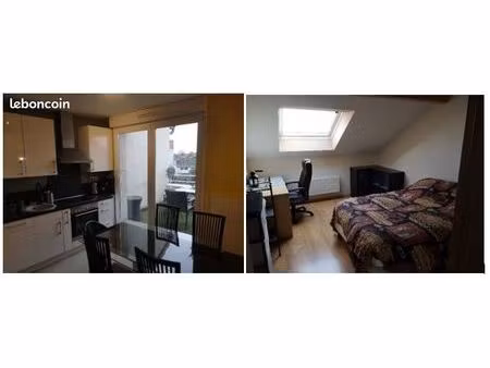 appartement f2 meublé lumineux (terrasse et garage)