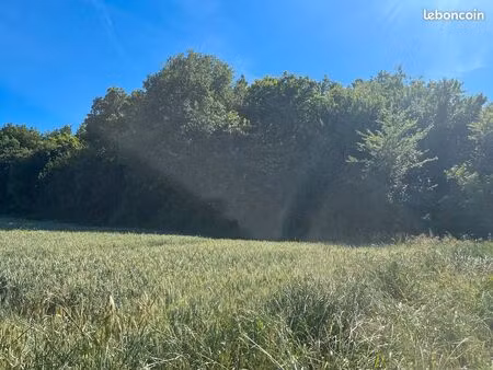 vente parcelles de bois