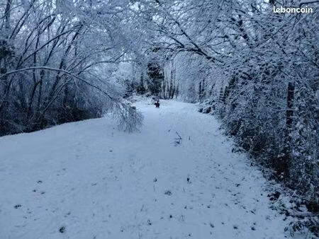 terrain de loisir
