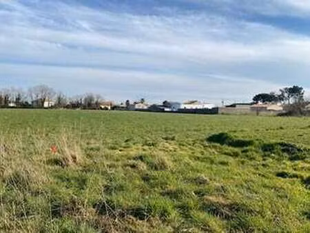 vente terrain à vieillevigne (44116) : à vendre / vieillevigne