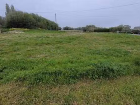 vente terrain à cancale (35260) : à vendre / cancale